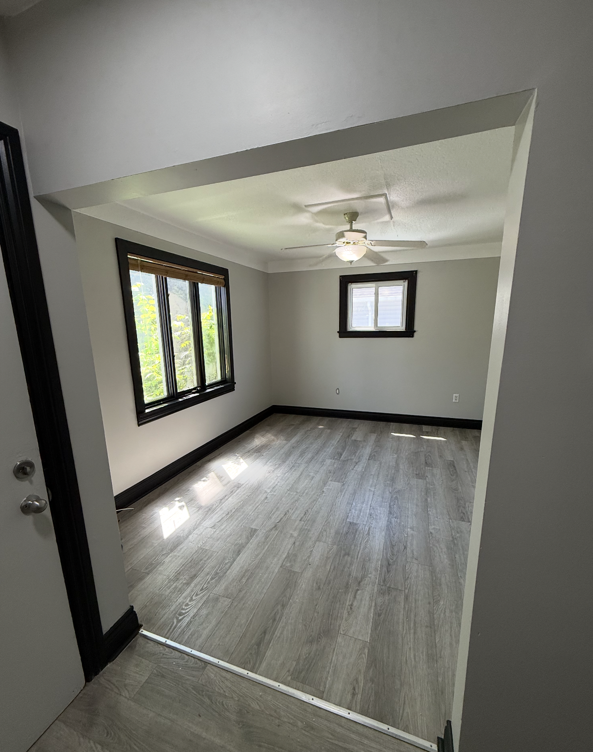 315 Collingwood Street - 1